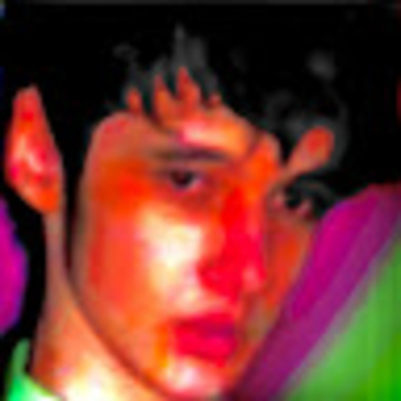 Meet your Posher, Lily - Picture 1 of 1